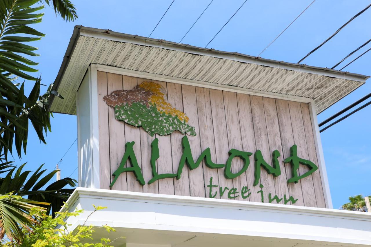 Almond Tree Inn - Adults Only Κι Γουέστ Εξωτερικό φωτογραφία